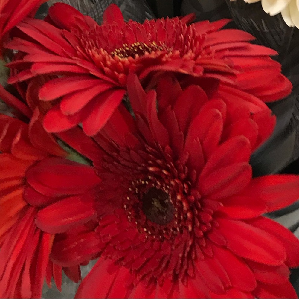 Offers welcome